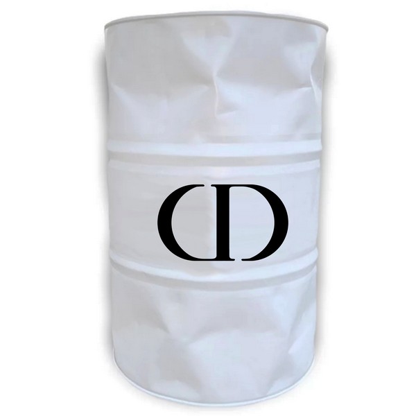 Christian Dior Logo 3